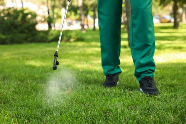 Best Commercial Pest Control Services  in Dixmoor, IL