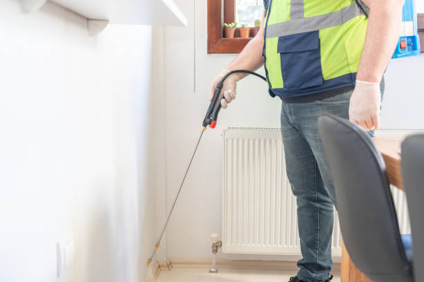 Best Local Pest Control Services  in Dixmoor, IL